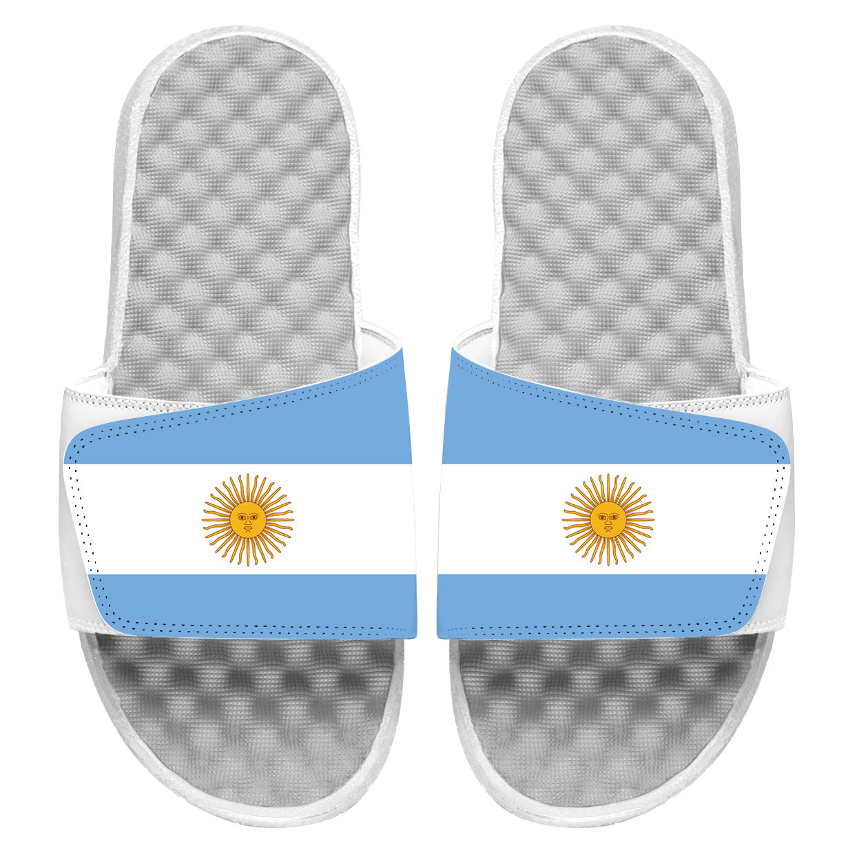 Argentina Flag Slides