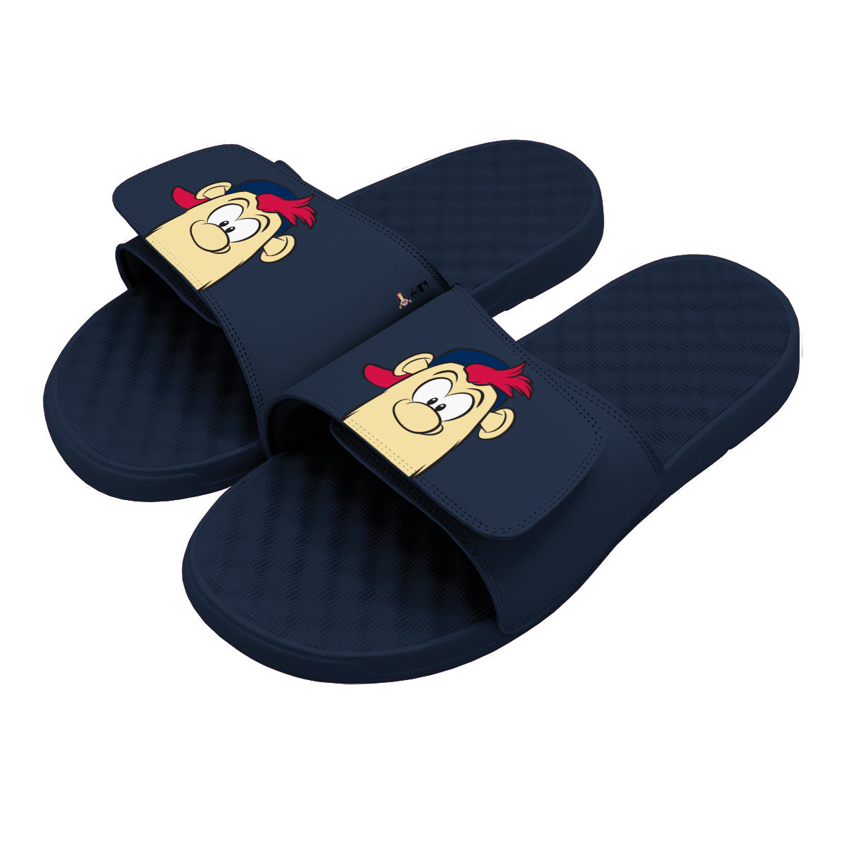 Atlanta Braves Mascot Slides