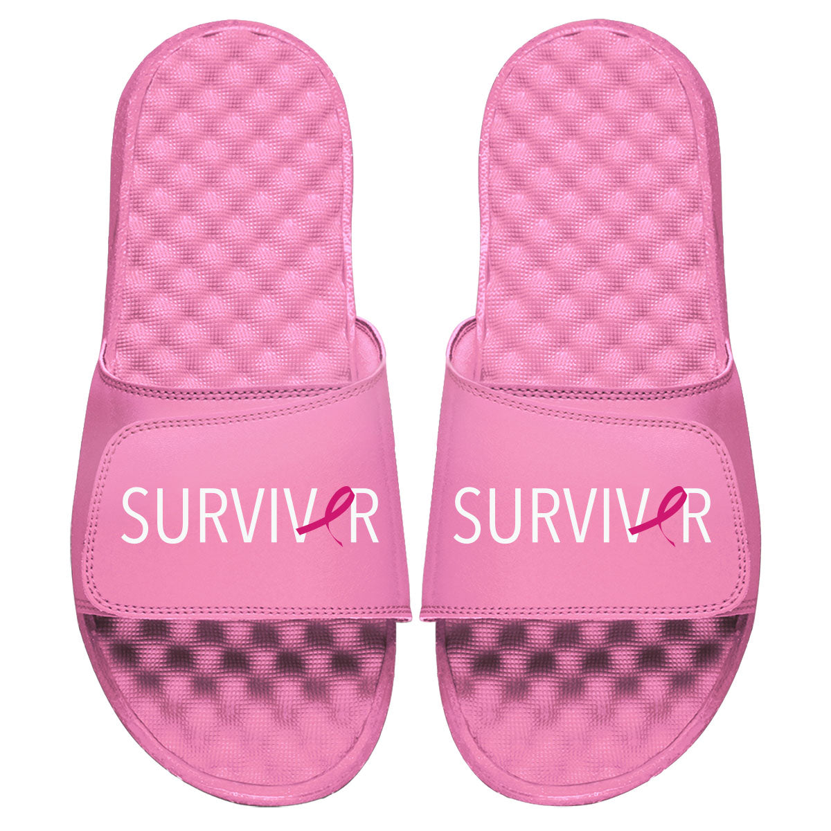BCRF Survivor Slides