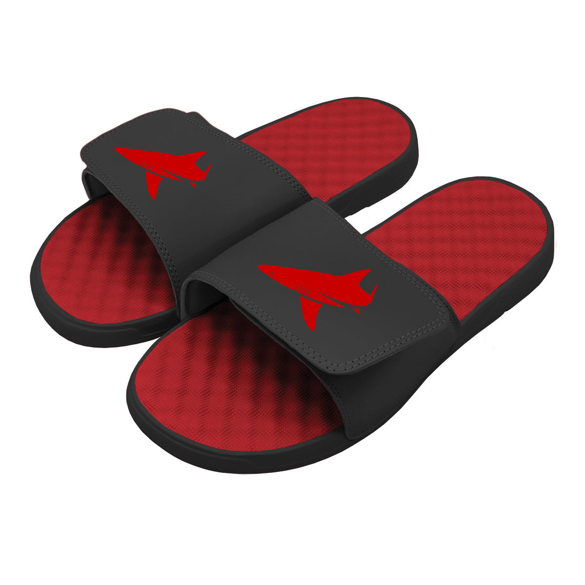 BlacktipH Fishing Shark Logo Slides