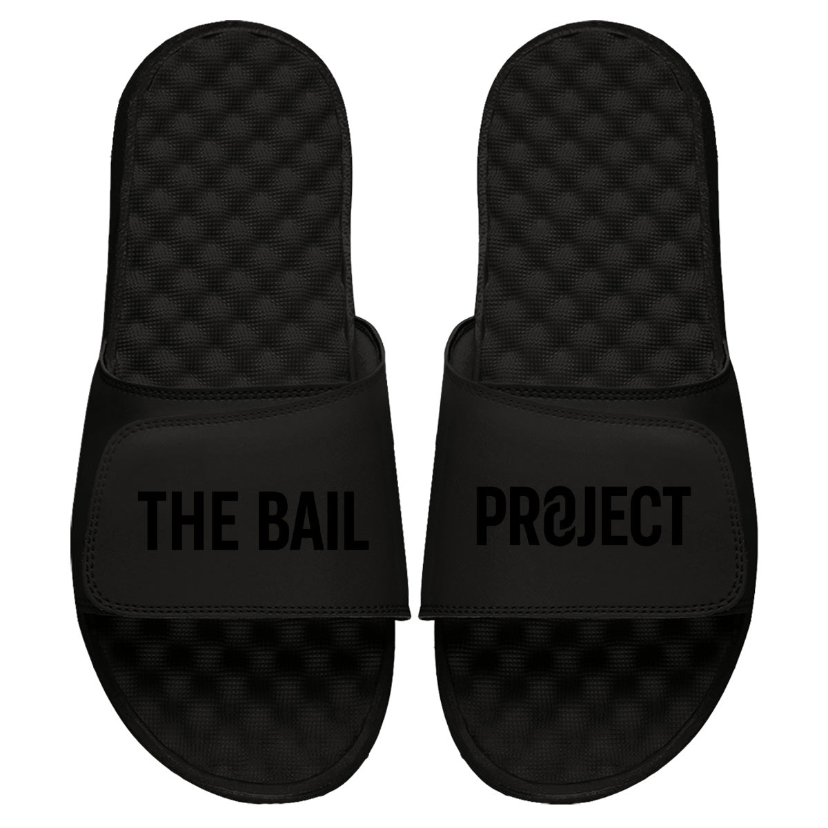 Bail Project Slides