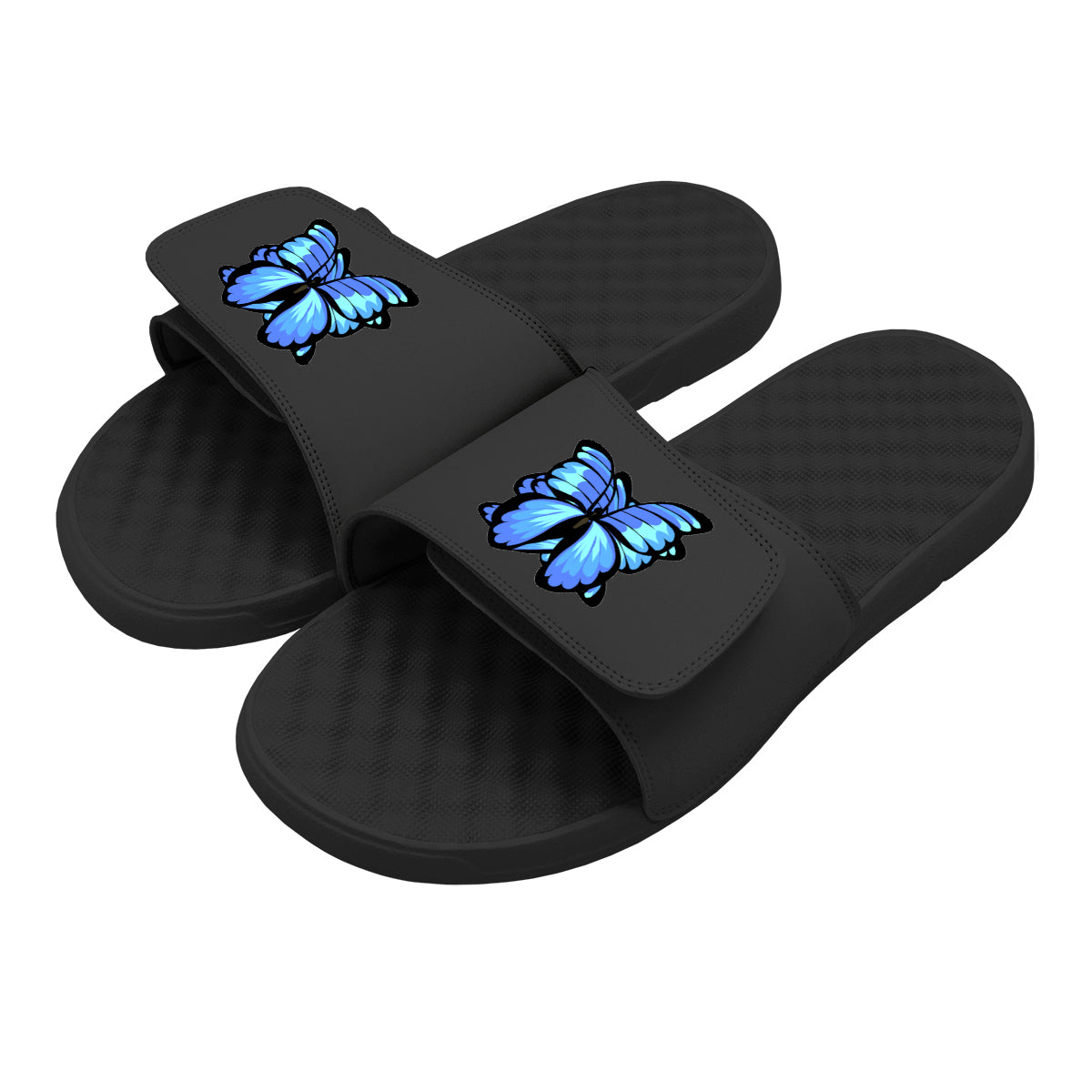 Blue Butterfly Slides