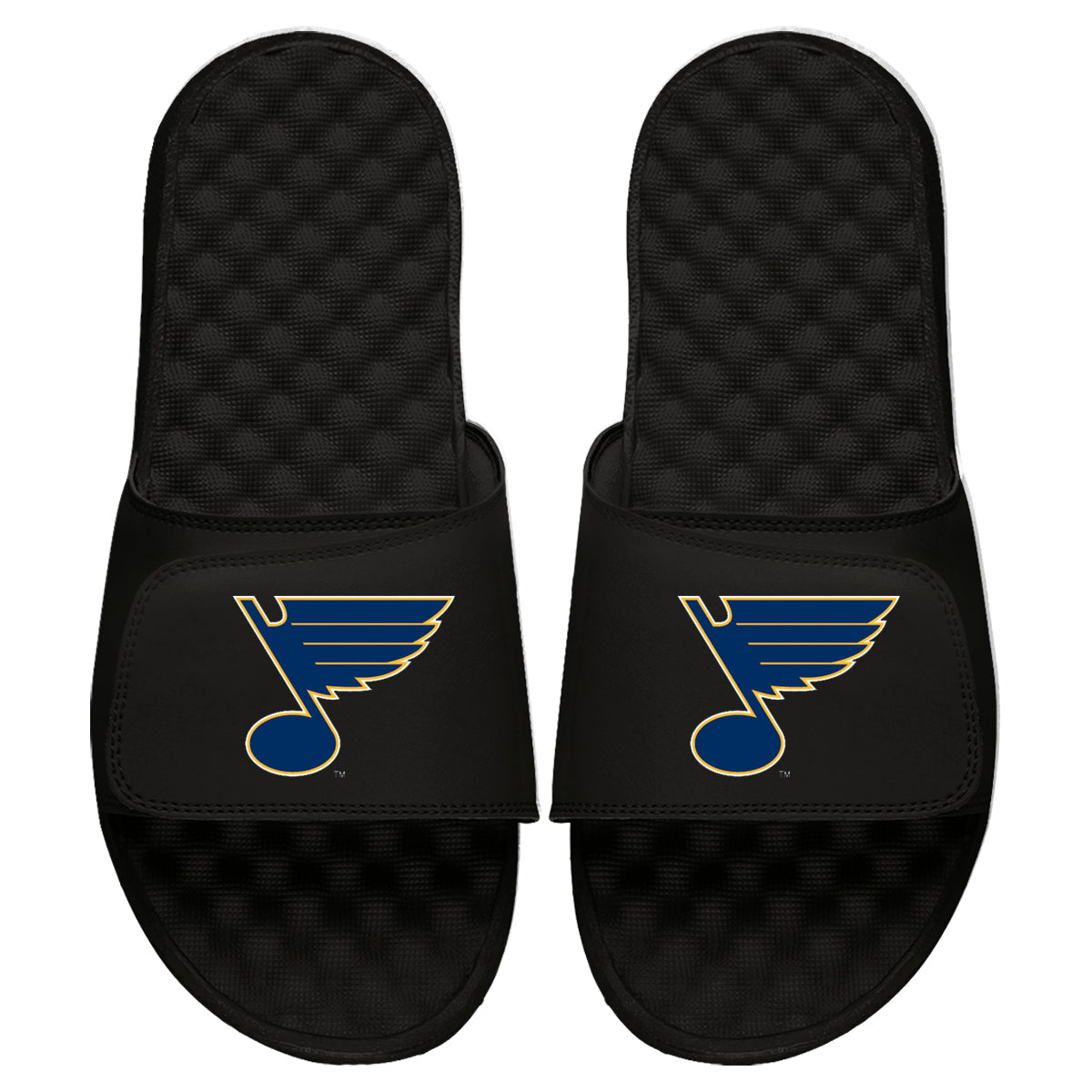 St Louis Blues Primary Slides