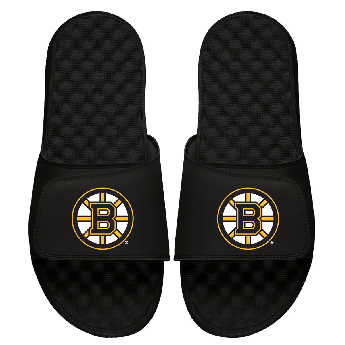 Boston Bruins Primary Slides