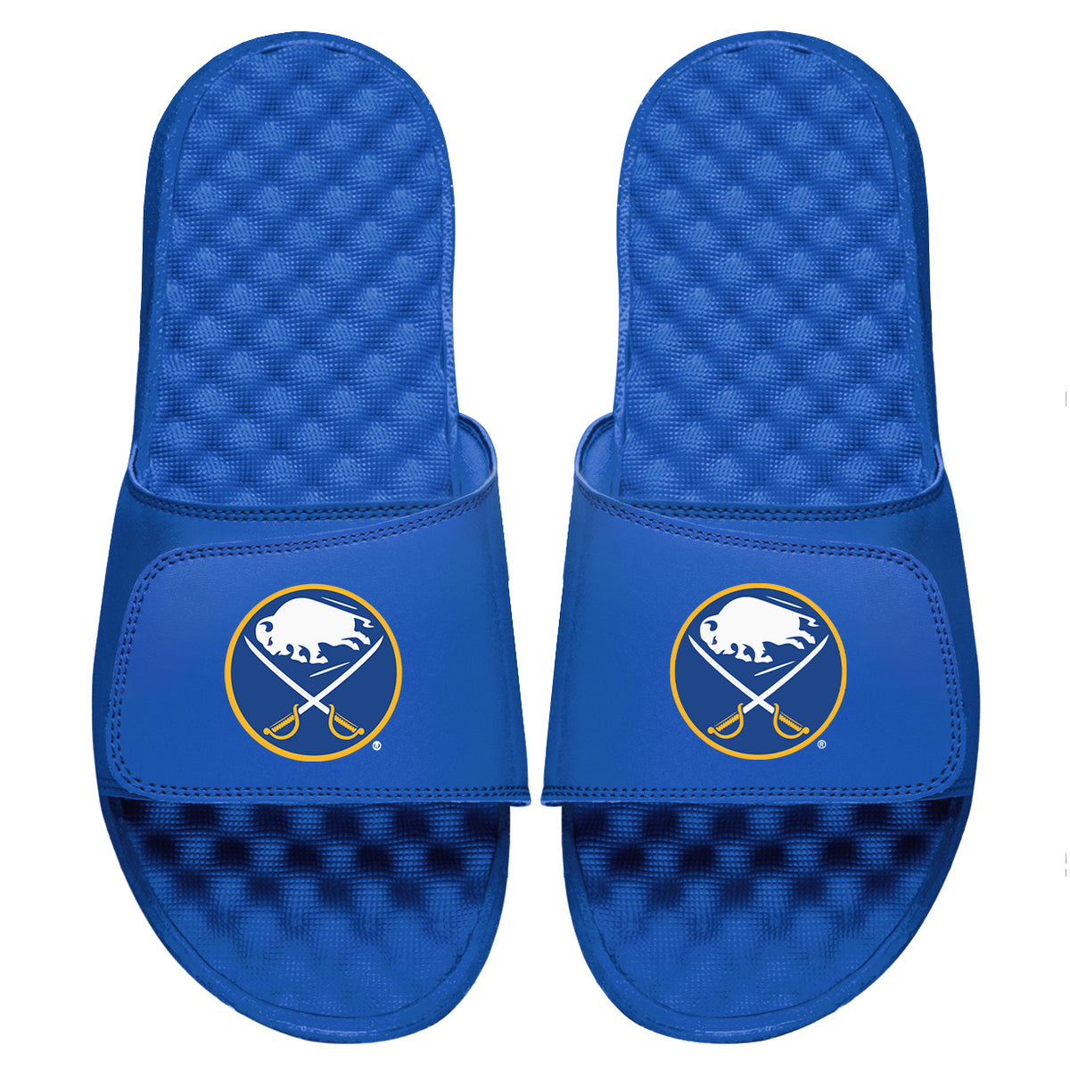 Buffalo Sabres Primary Logo Slides