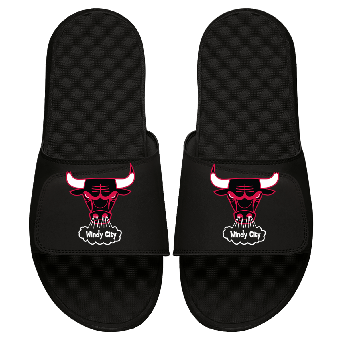 Chicago Bulls HWC Primary Slides