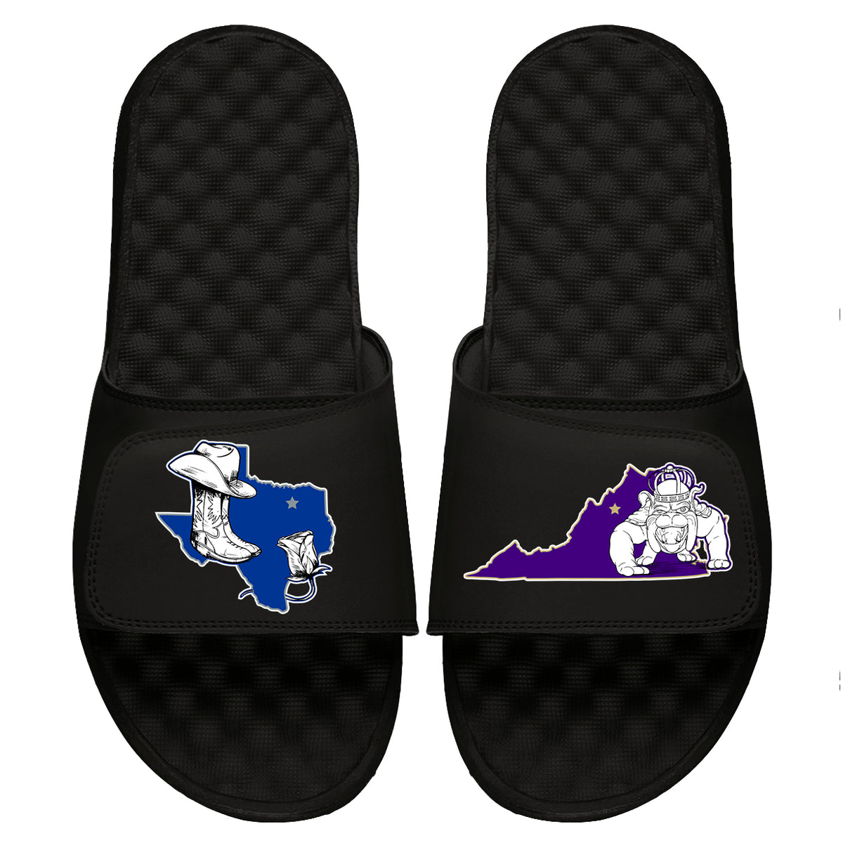 DiNucci WSRM Limited Edition Slides