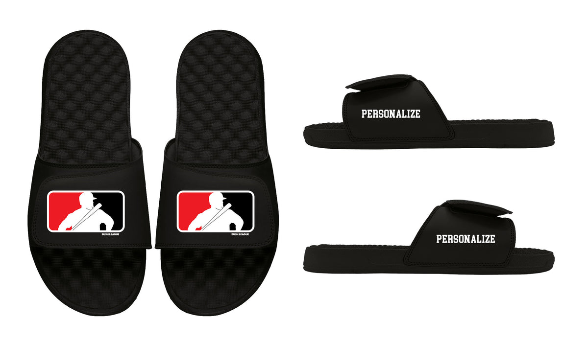 Bush Cincy Slides