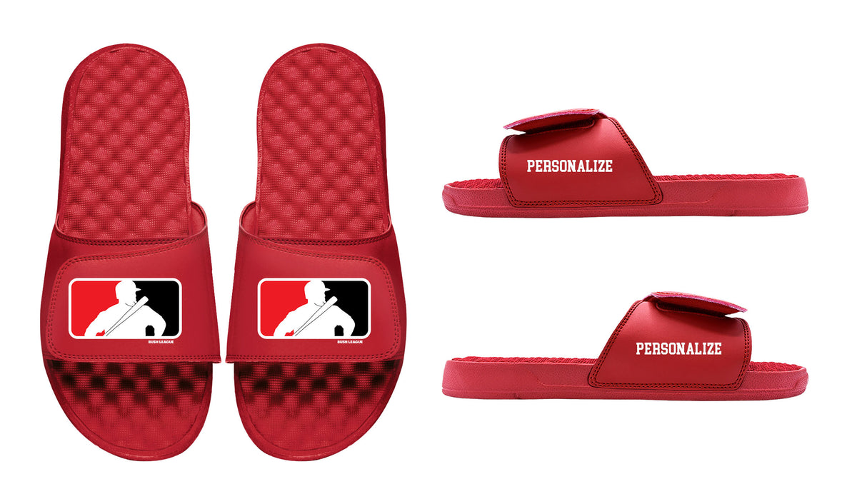 Bush Cincy Slides