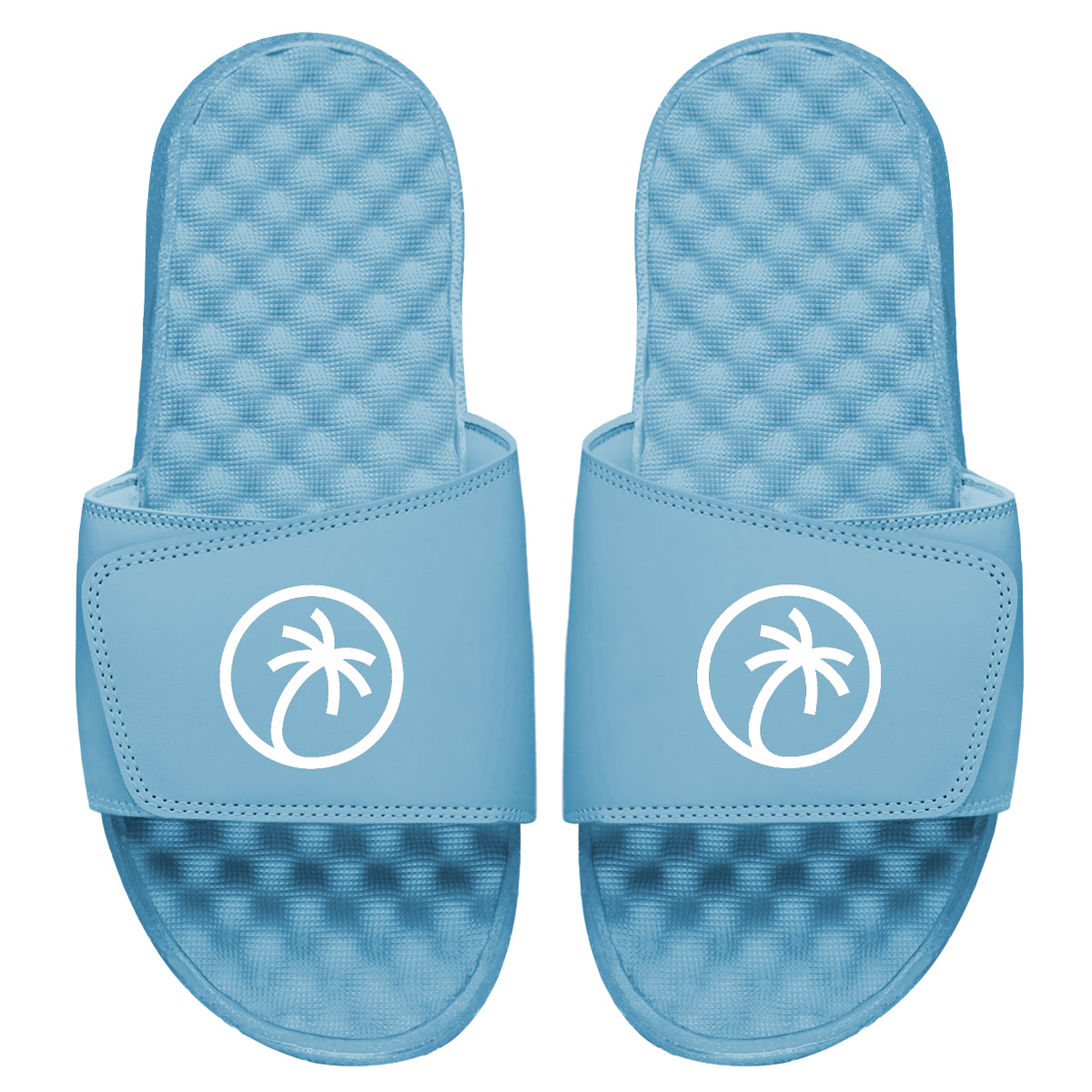 Toehold Palm Logo Carolina Slides