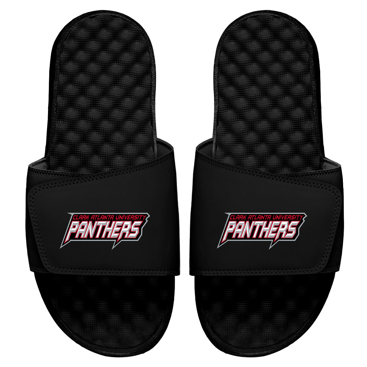 CAU Panthers Wordmark Slides