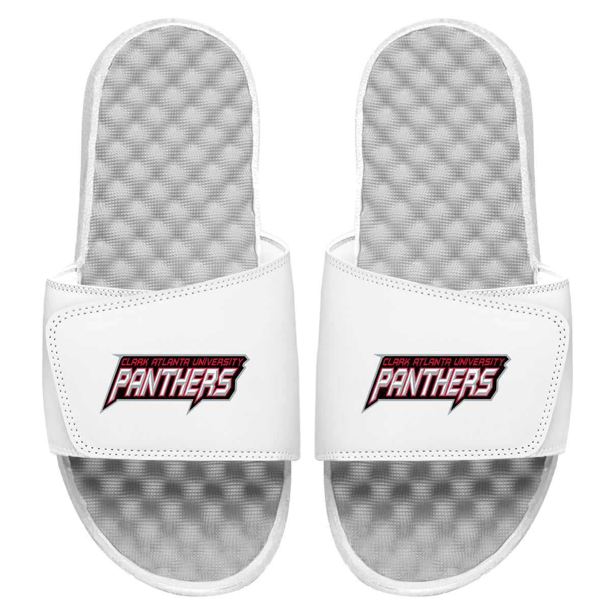 CAU Panthers Wordmark Slides