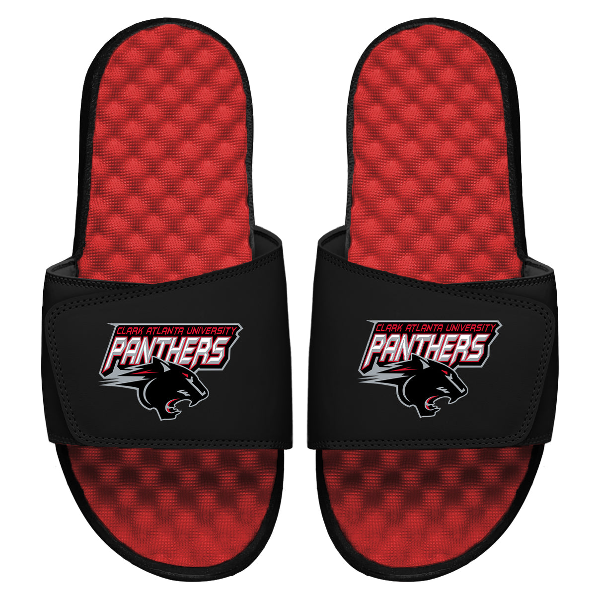 CAU Panthers Slides