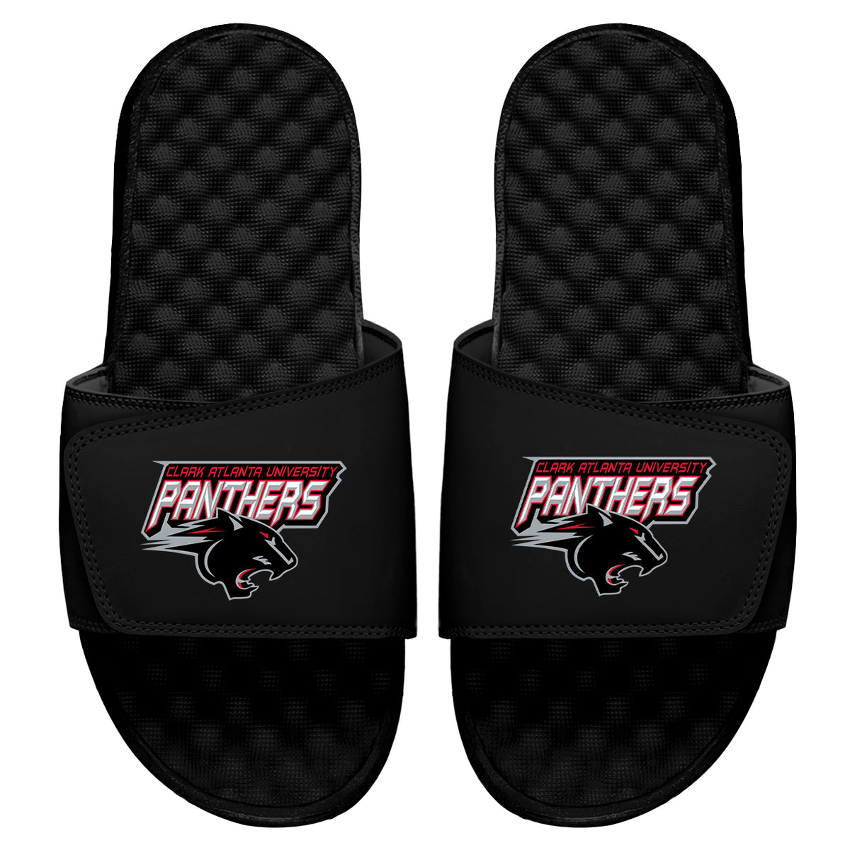 CAU Panthers Slides