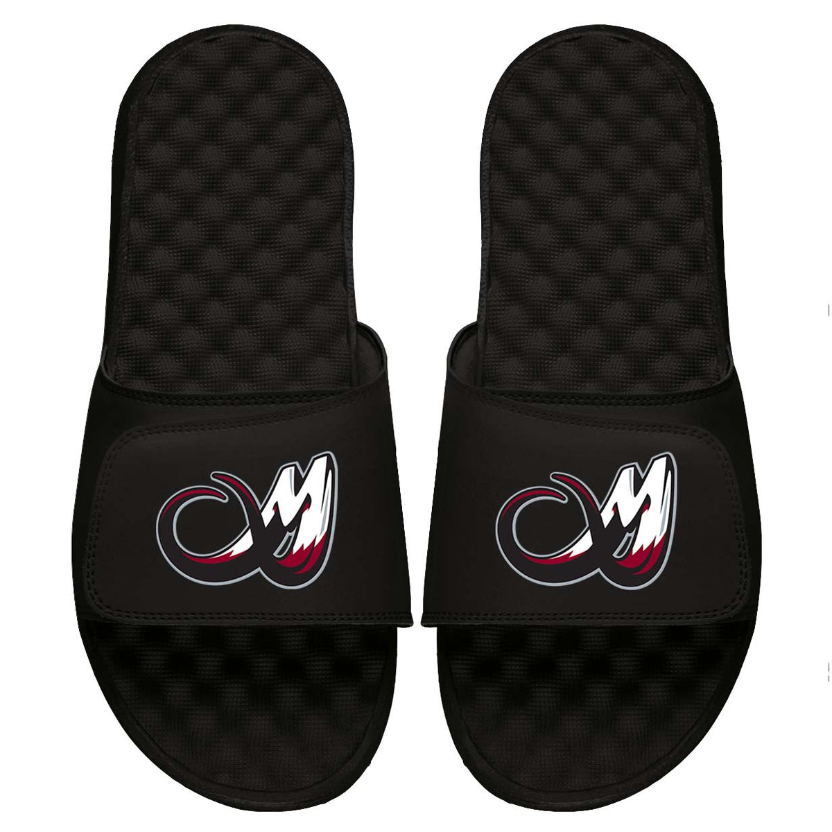 Colorado Mammoth Slides