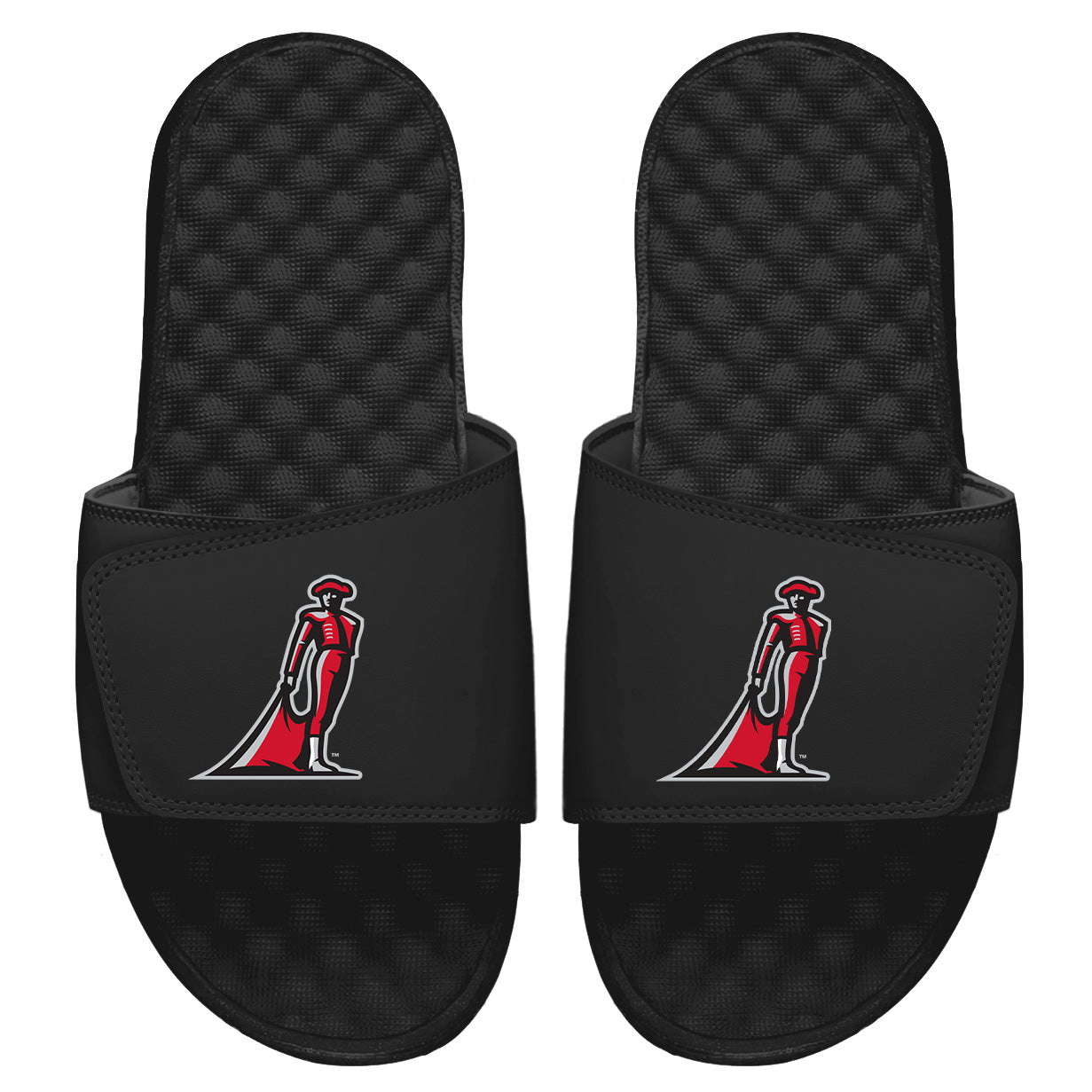 CSUN Alternate Slides