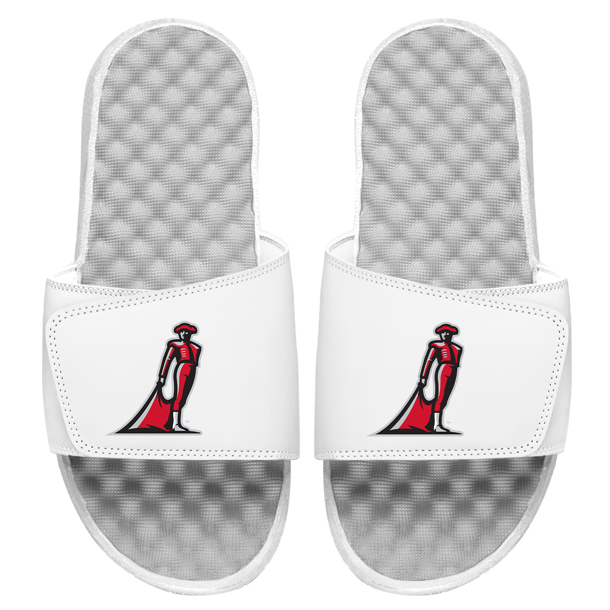 CSUN Alternate Slides