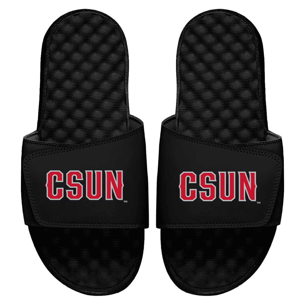 CSUN Wordmark Slides