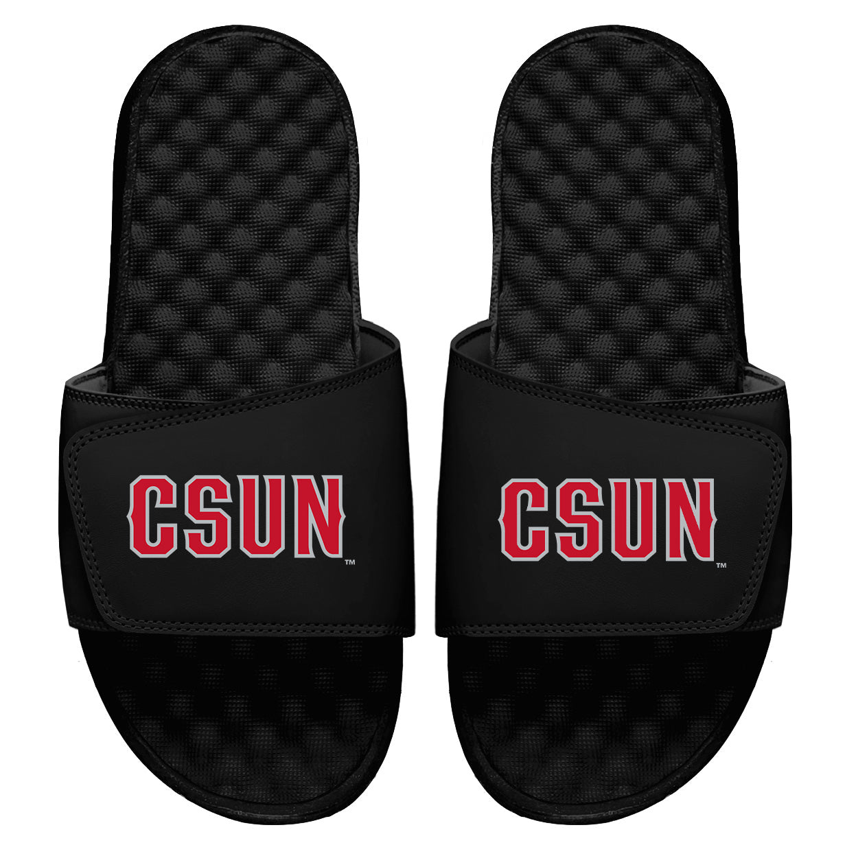 CSUN Wordmark Slides