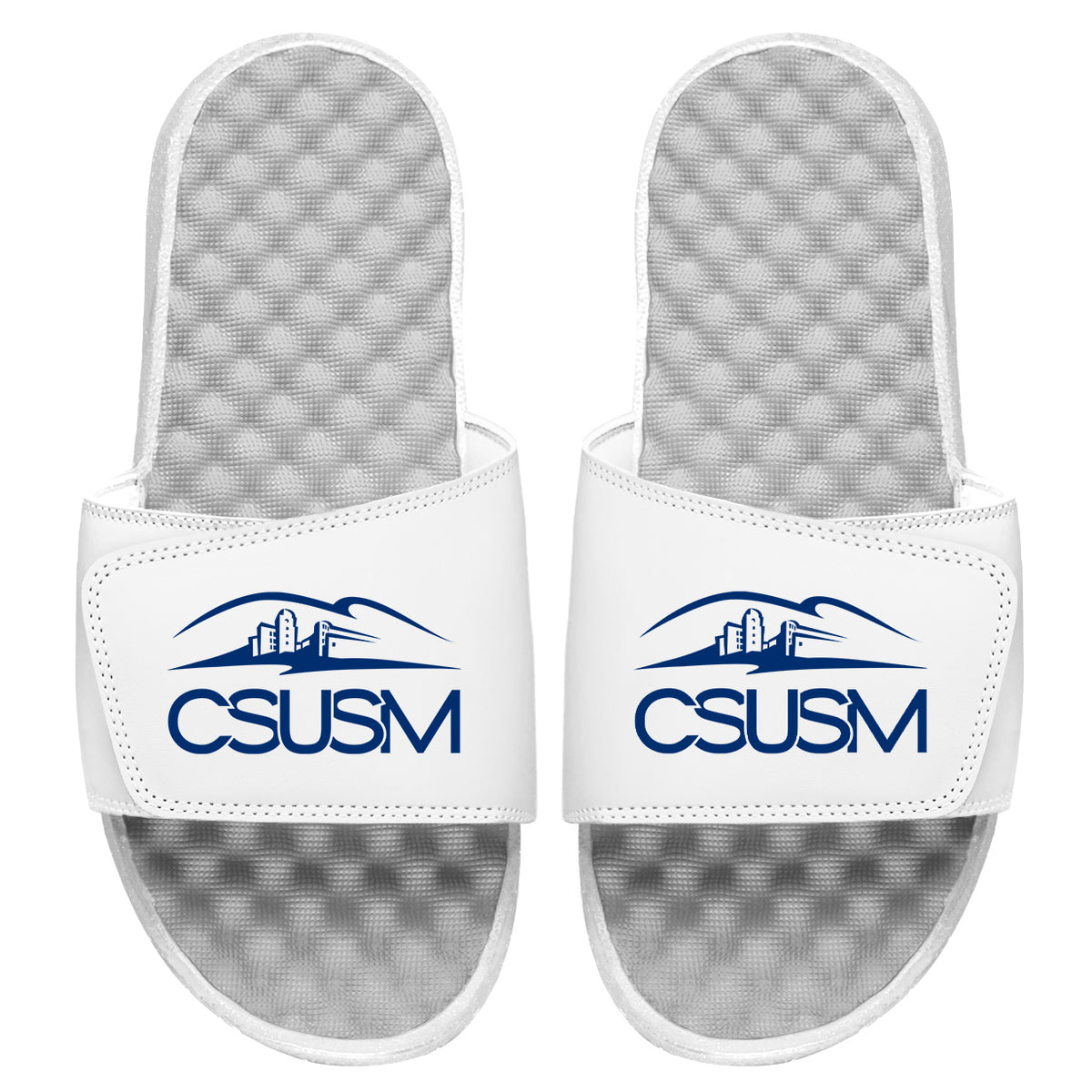 CSUSM Primary Blue Letters Slides