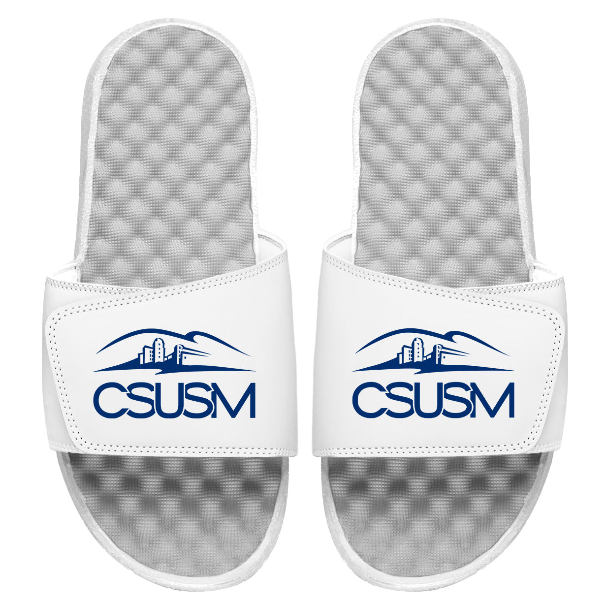 CSUSM Primary Blue Letters Slides