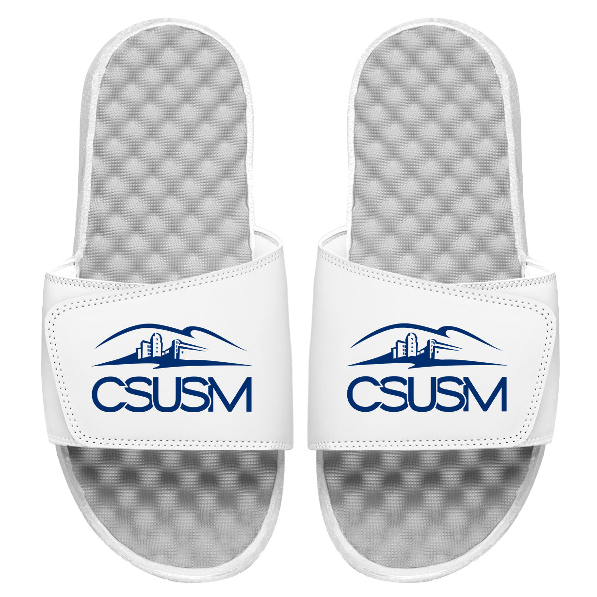 CSUSM Primary Blue Letters Slides