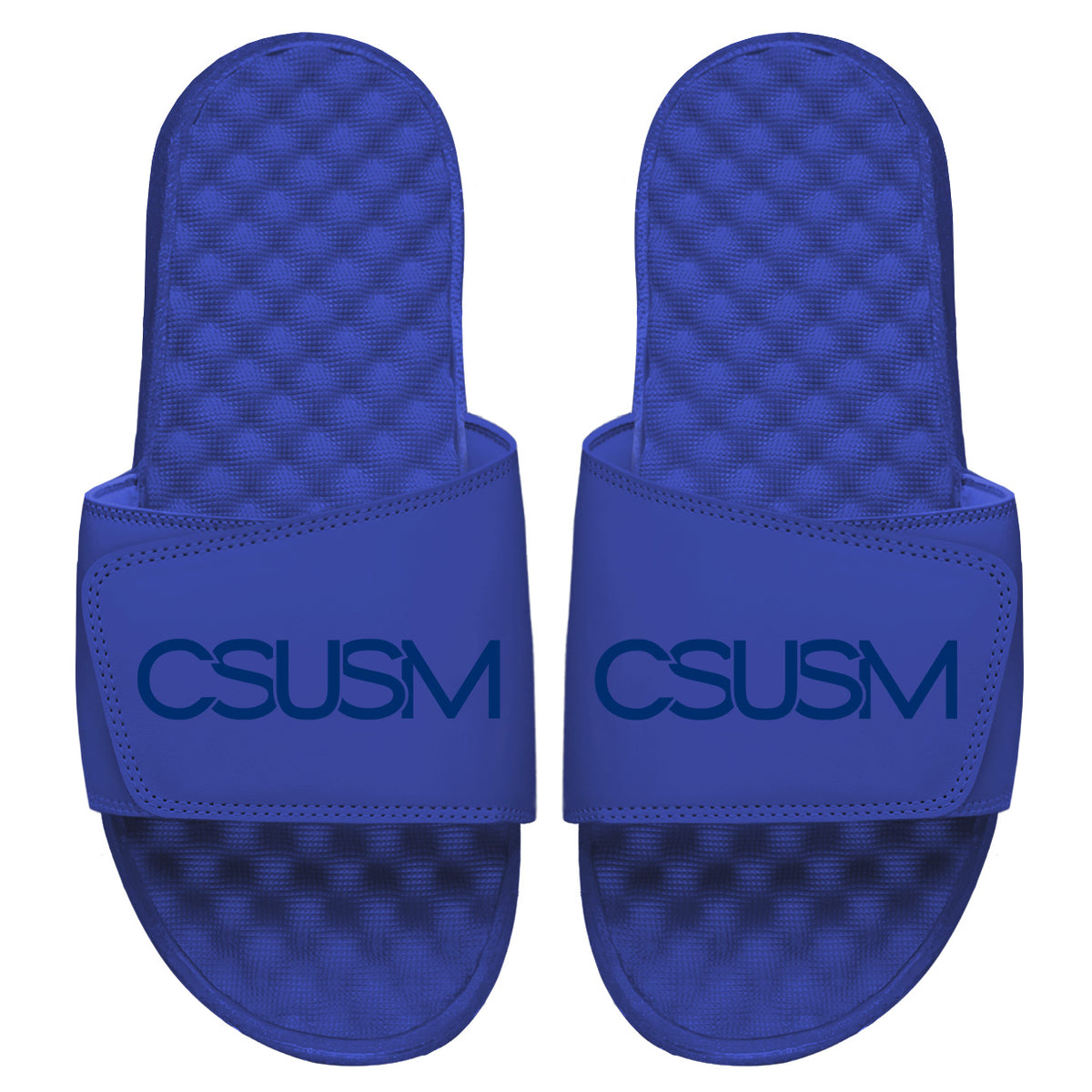 CSUSM Primary Tonal Wordmark Slides