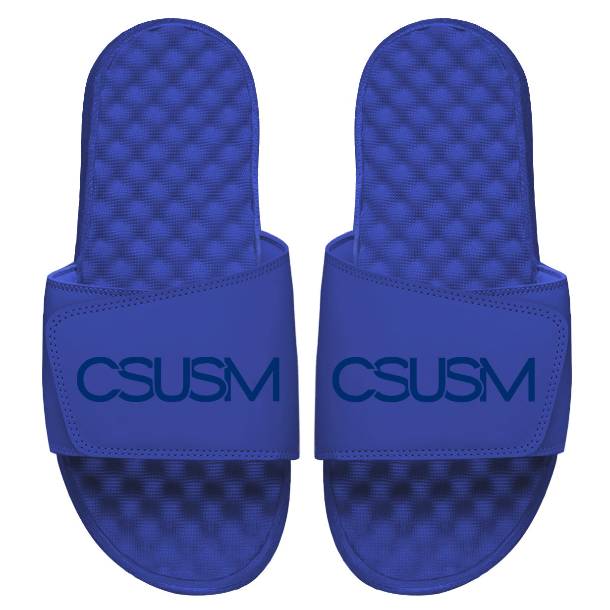 CSUSM Primary Tonal Wordmark Slides