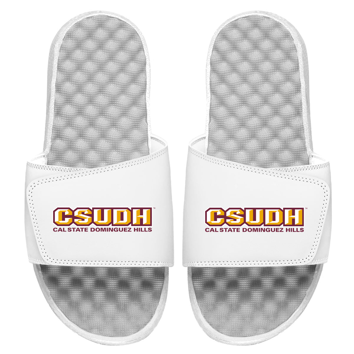 Cal State DH Wordmark Slides