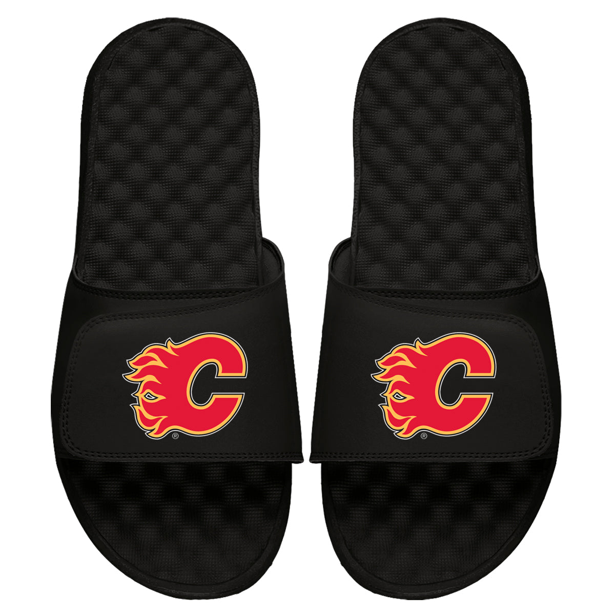 Calgary Flames Primary Slides