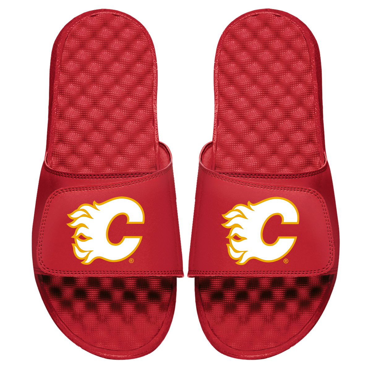 Calgary Flames Vintage Logo Slides
