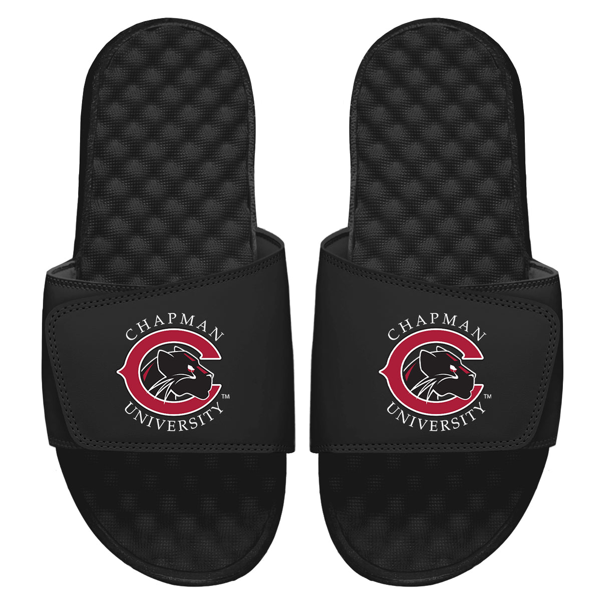 Chapman University Primary Slides