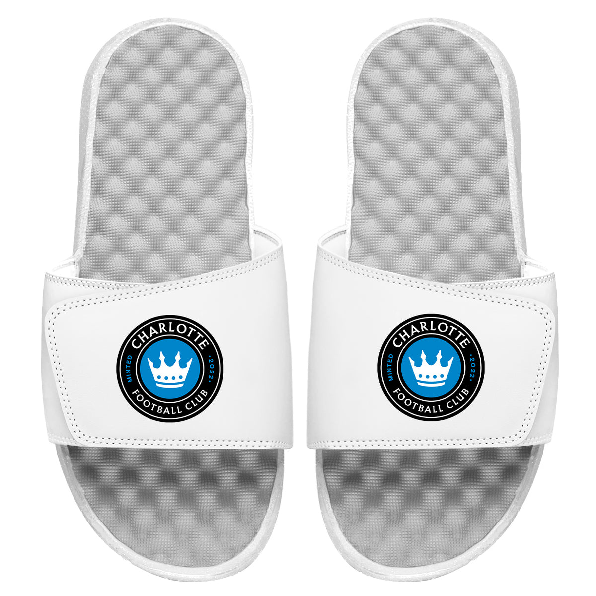 Charlotte FC Primary Logo Slides