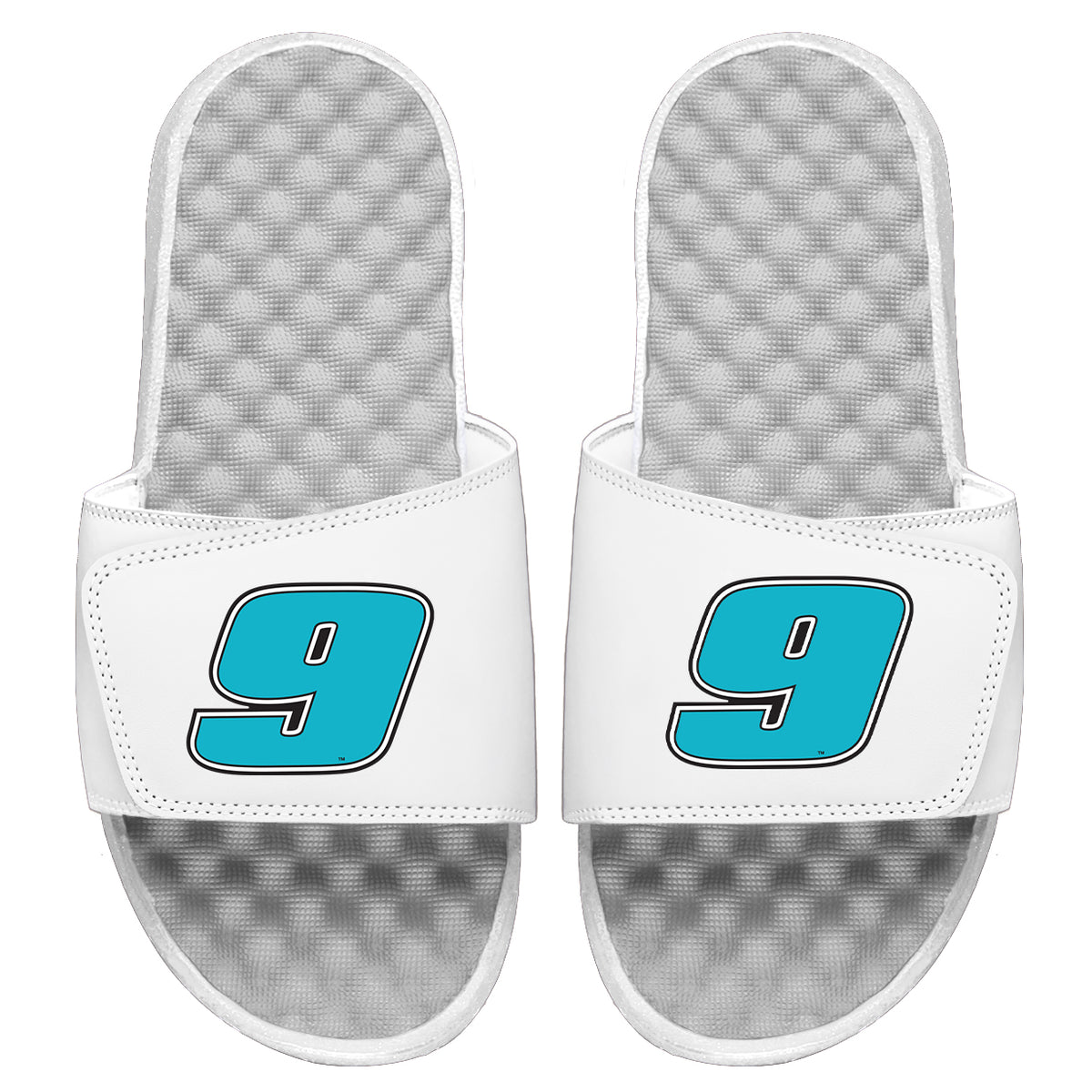 Chase Elliot 9 Blue Outline Slides