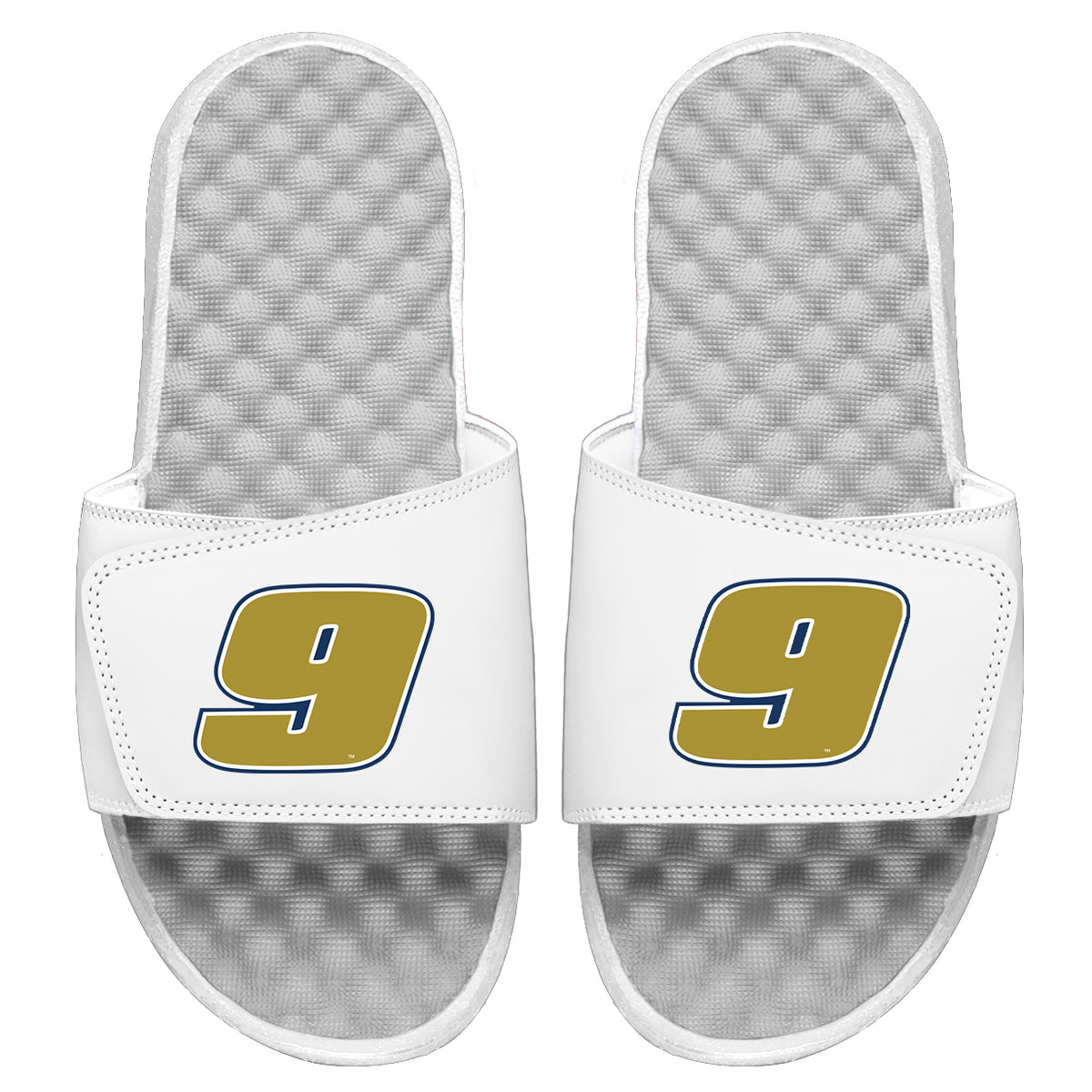 Chase Elliot 9 Gold Outline Slides