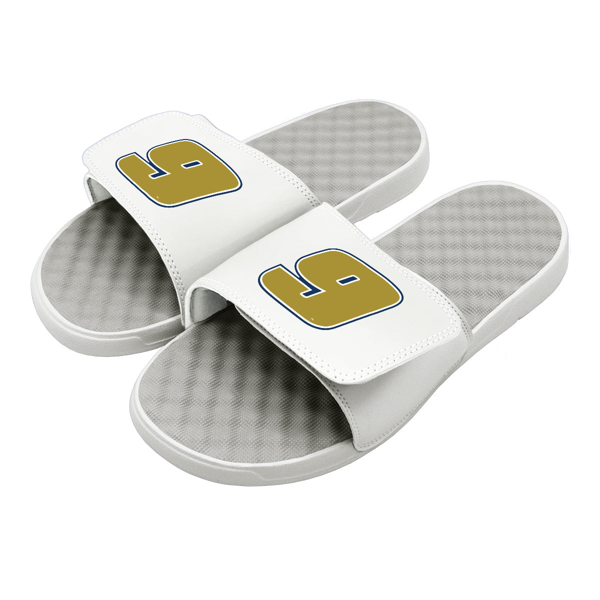 Chase Elliot 9 Gold Outline Slides