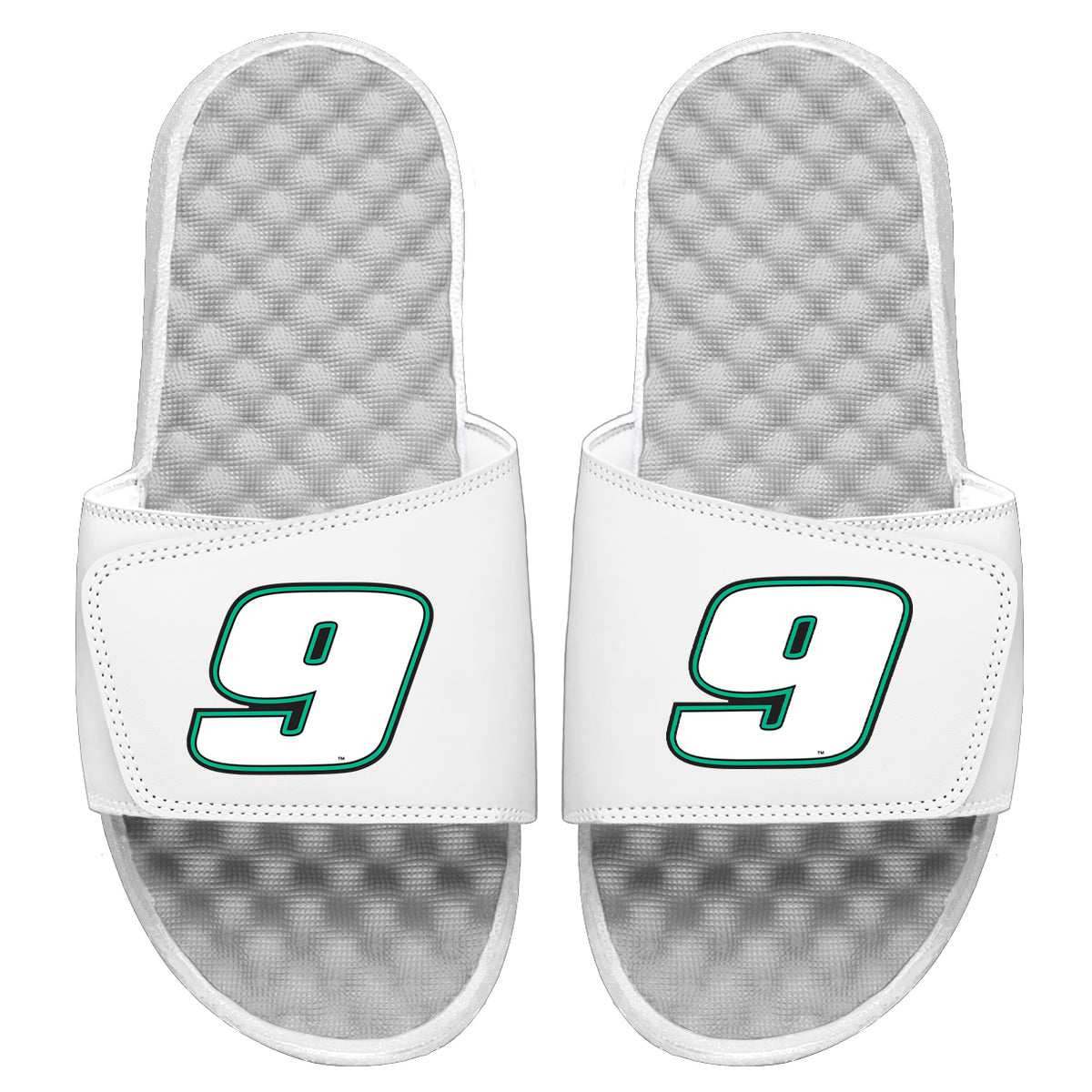 Chase Elliot 9 Green Outline Slides