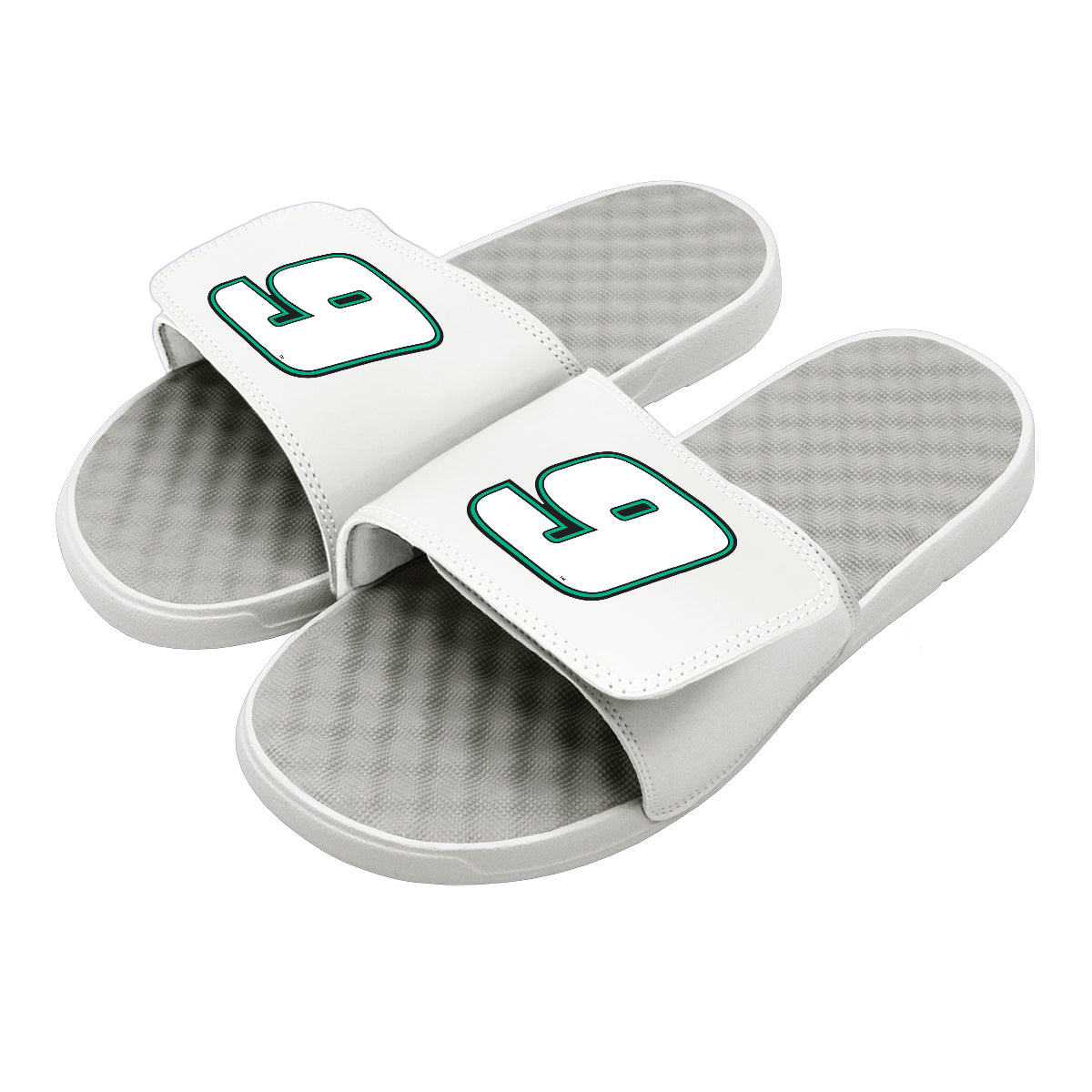 Chase Elliot 9 Green Outline Slides