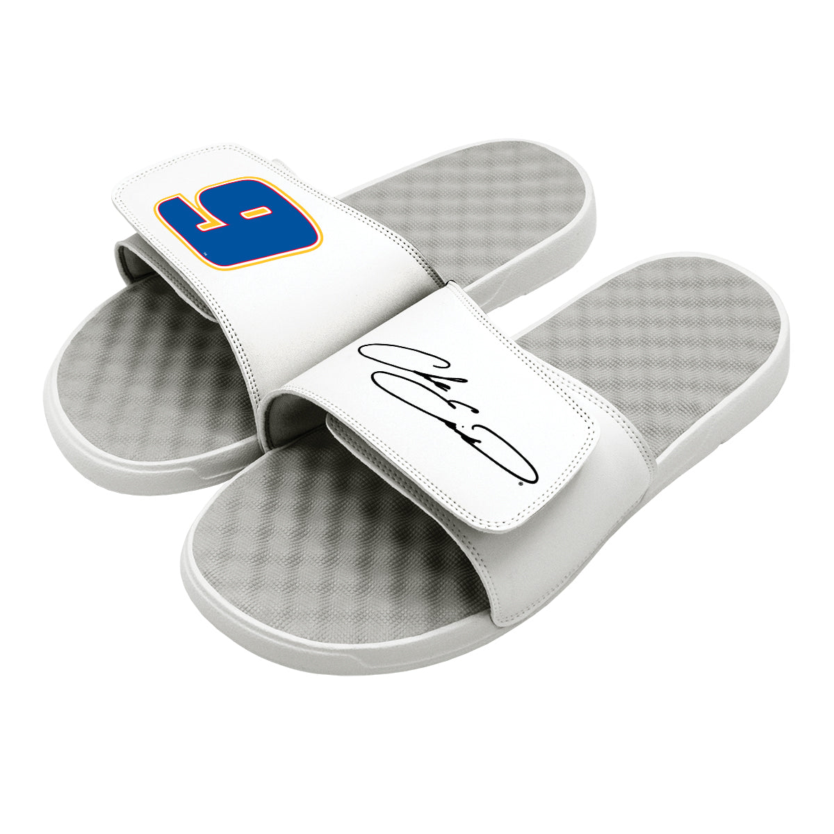 Chase Elliott 9 Signature Split Slides