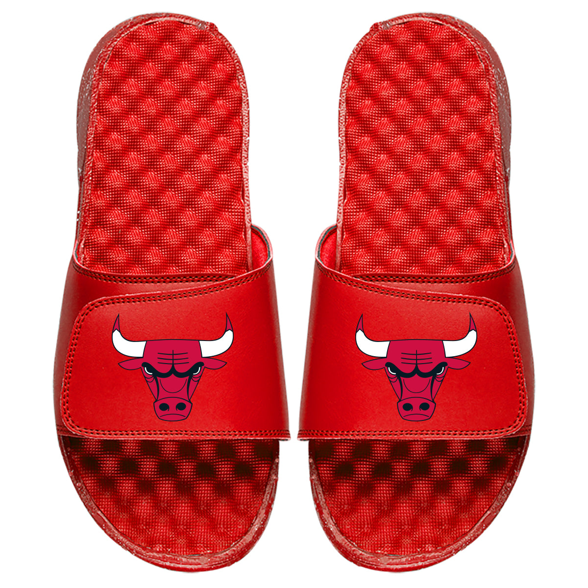 Chicago Bulls Primary - ISlide