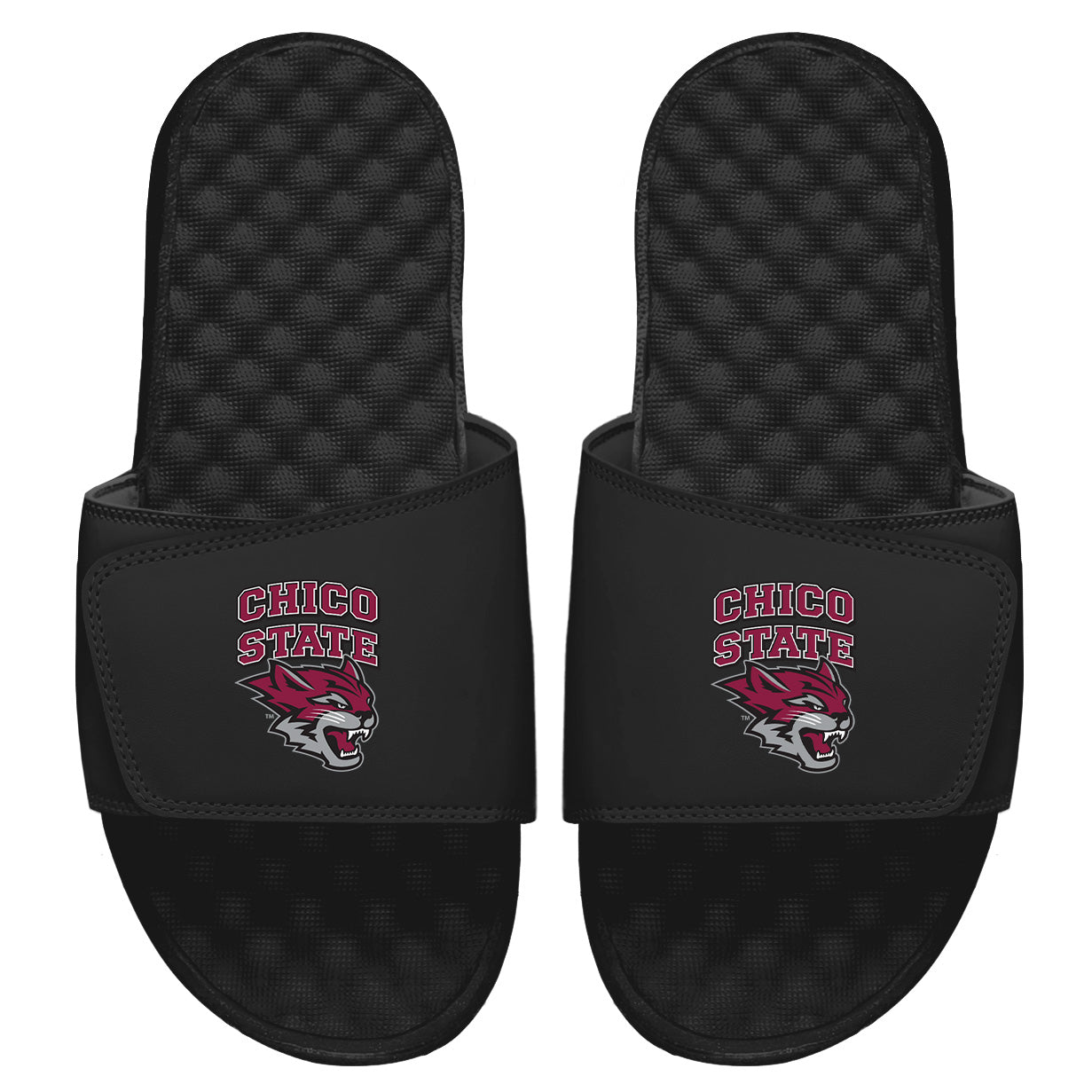 Chico State Alternate Slides