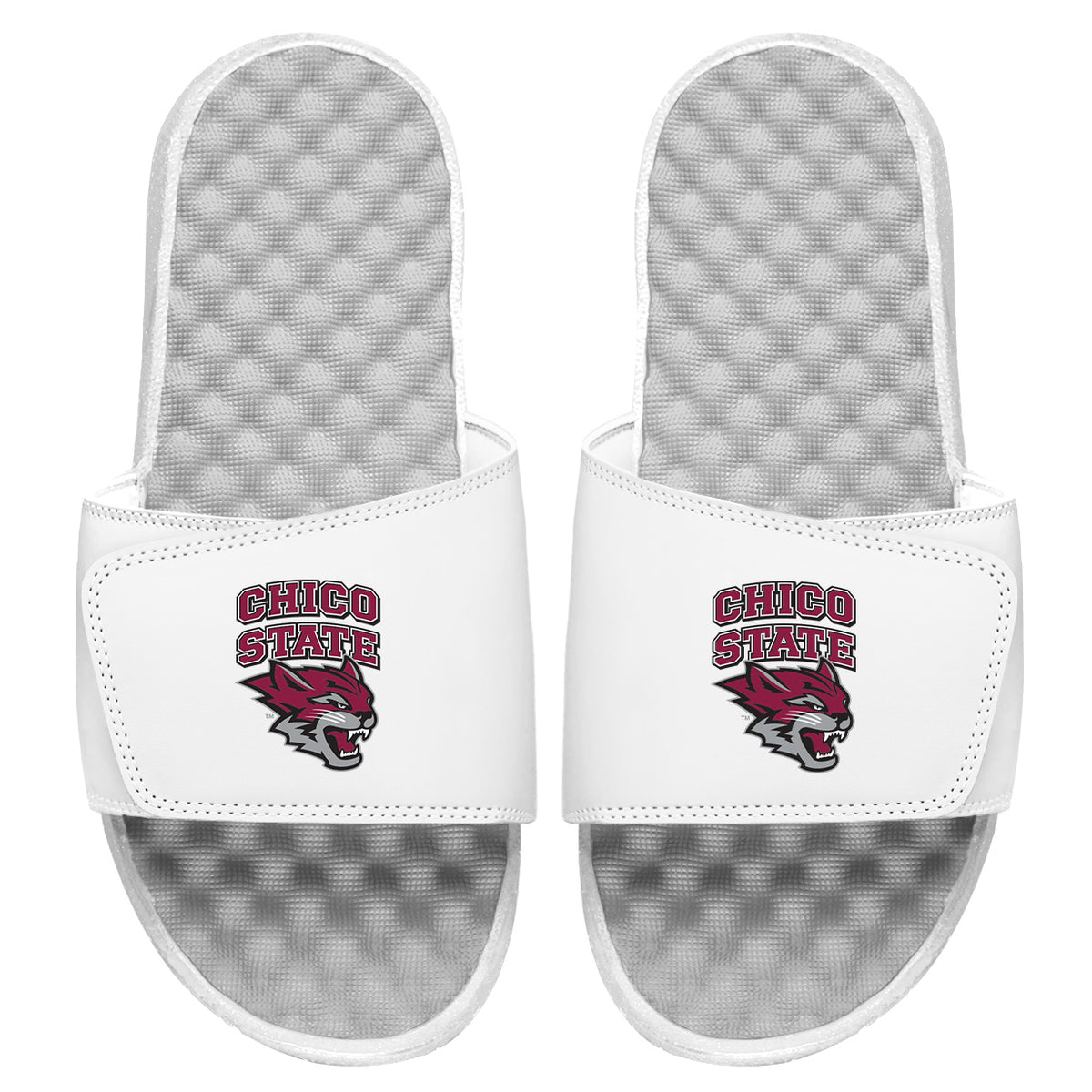 Chico State Alternate Slides