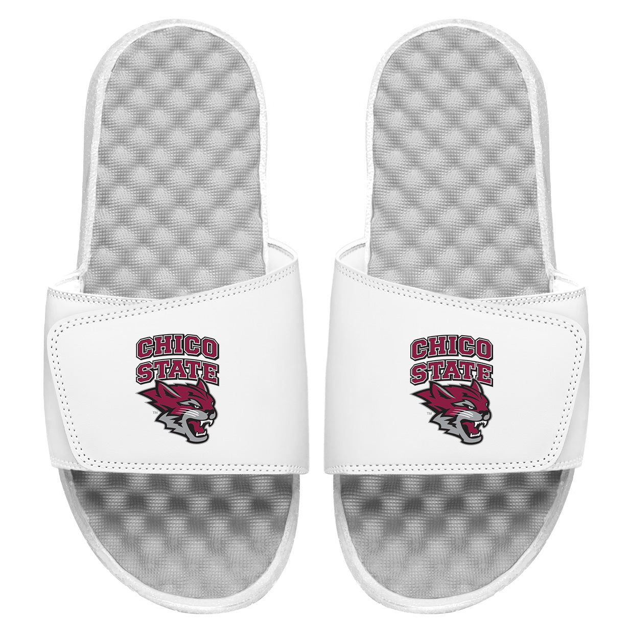 Chico State Alternate Slides