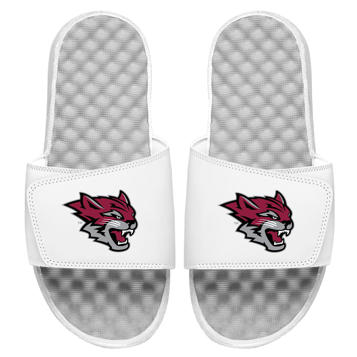 Chico State Primary Slides