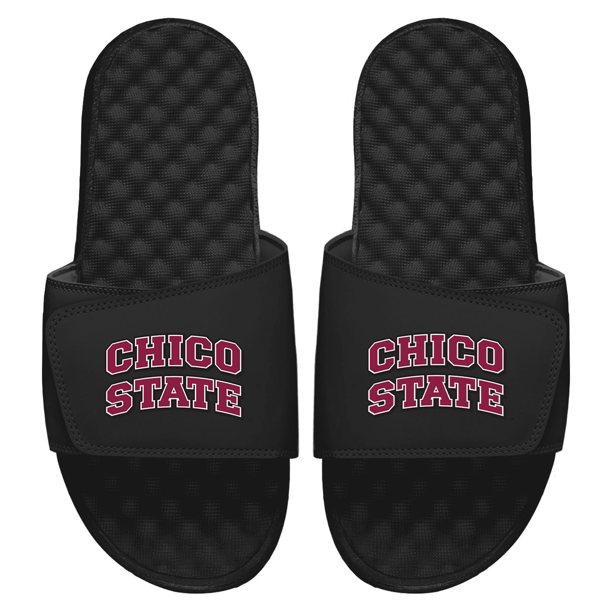 Chico State Wordmark Slides