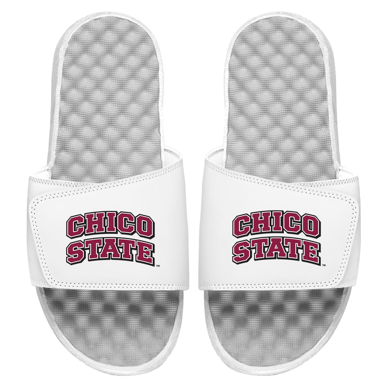 Chico State Wordmark Slides