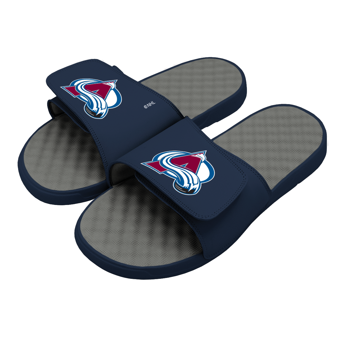 Avalanche Primary Logo Slides