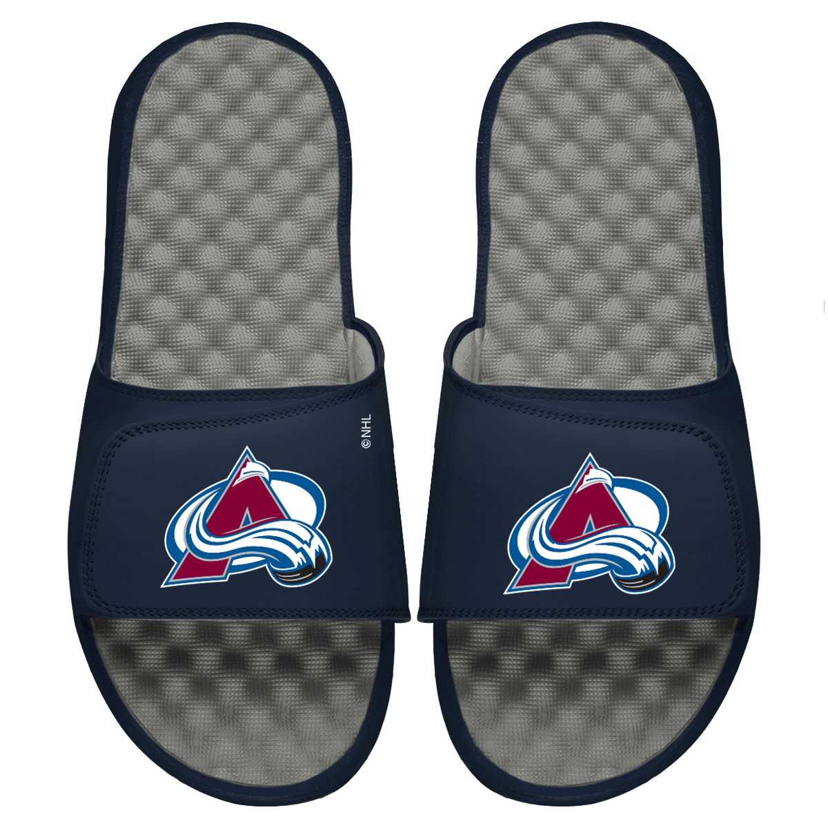 Avalanche Primary Logo Slides