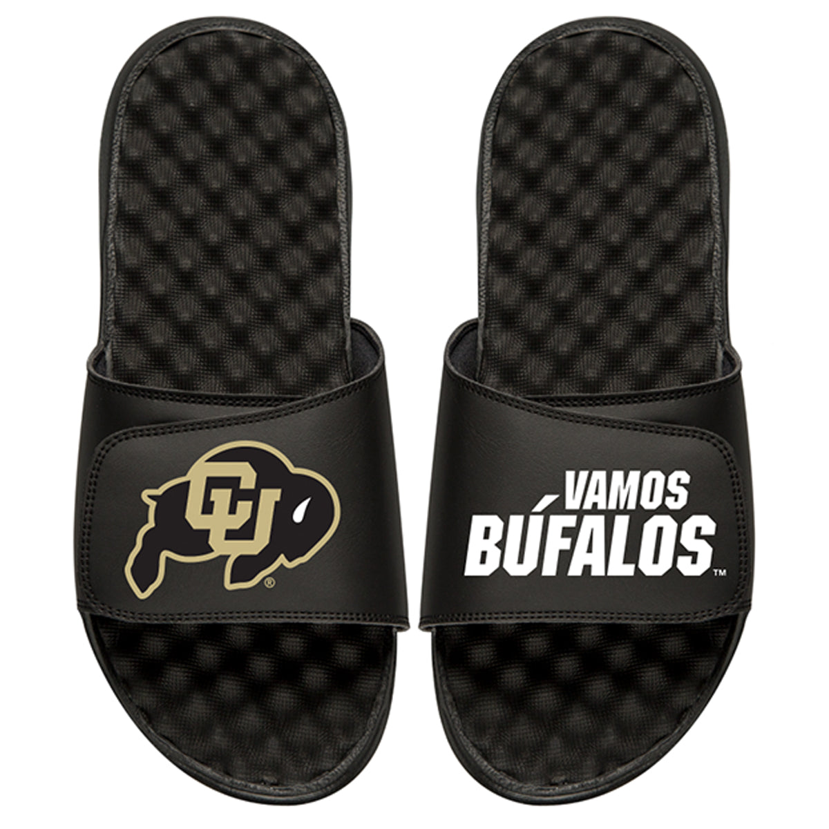 Vamos Bufalos - ISlide