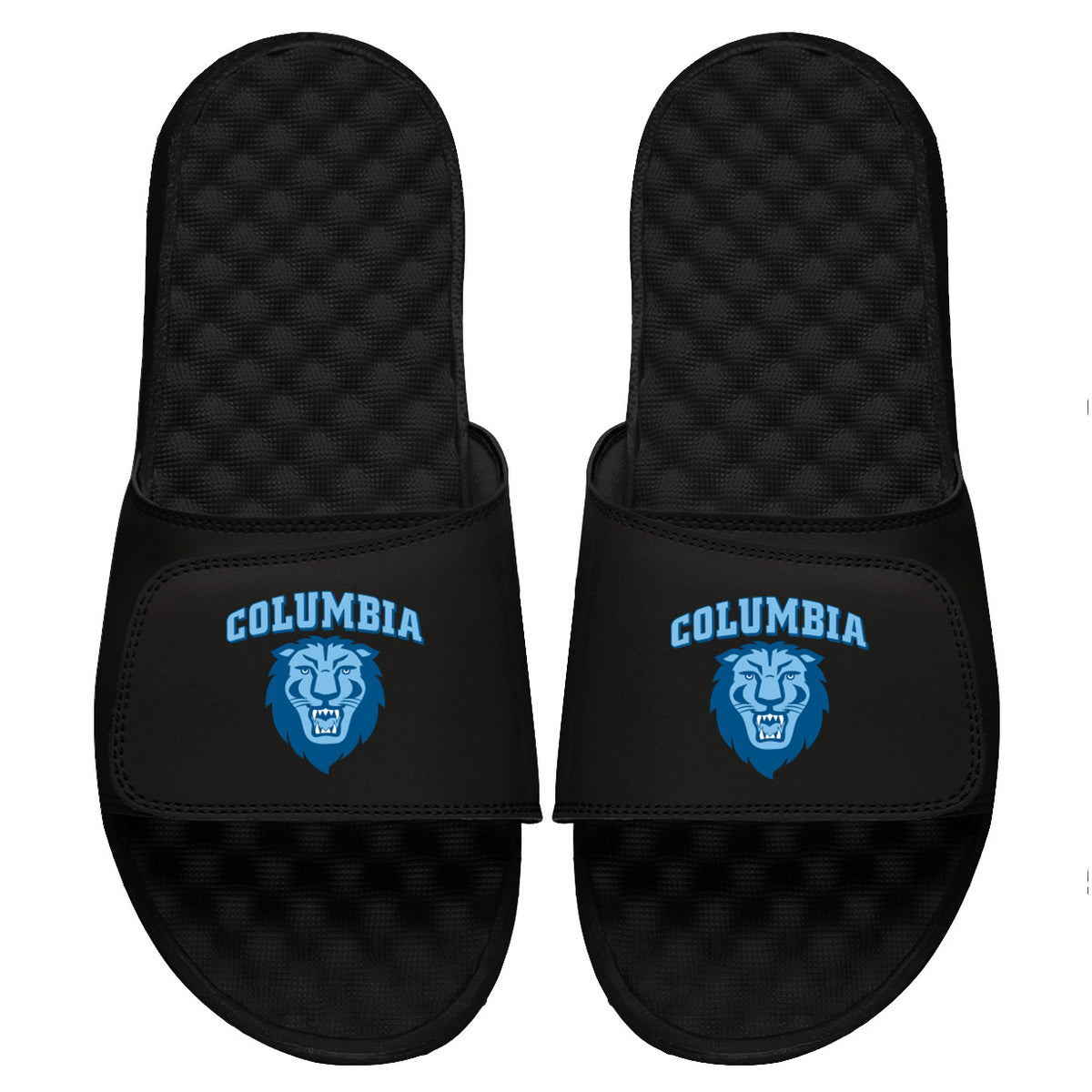 Columbia Primary Slides